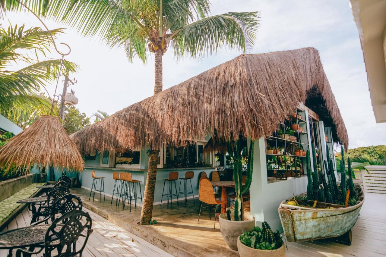 Cactus Lodge Pipa Praia de Pipa Exterior photo